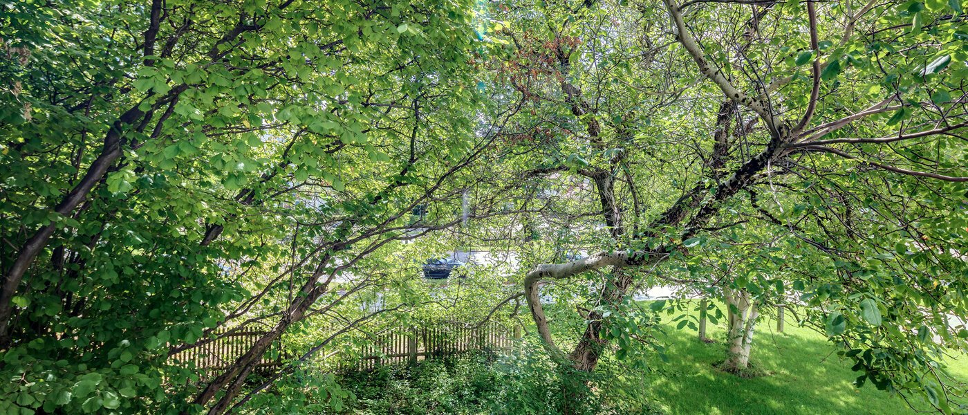 appartamento München Bogenhausen 02 vista 10643