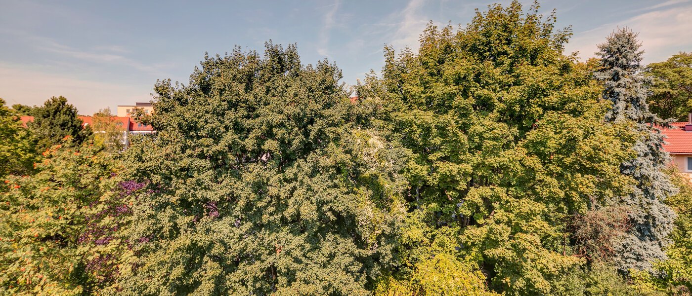 abitazione München Ramersdorf 02 vista 10733