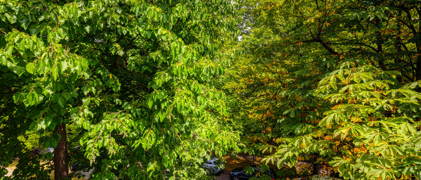 appartamento München Nymphenburg 02 vista 10849