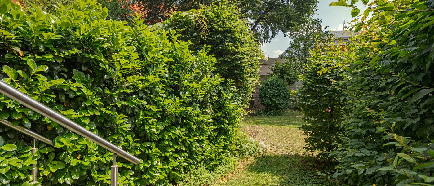 appartamento München Haidhausen 01 vista 10914