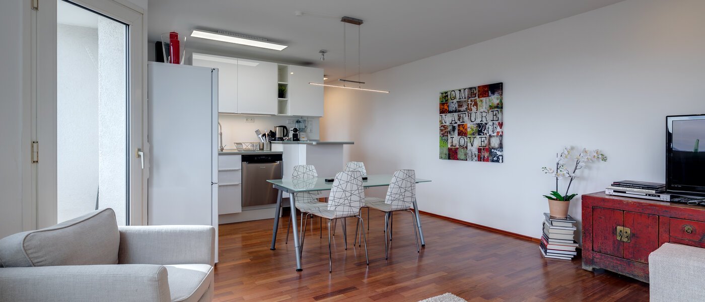 appartamento München Parkstadt Bogenhausen 04 soggiorno 10945