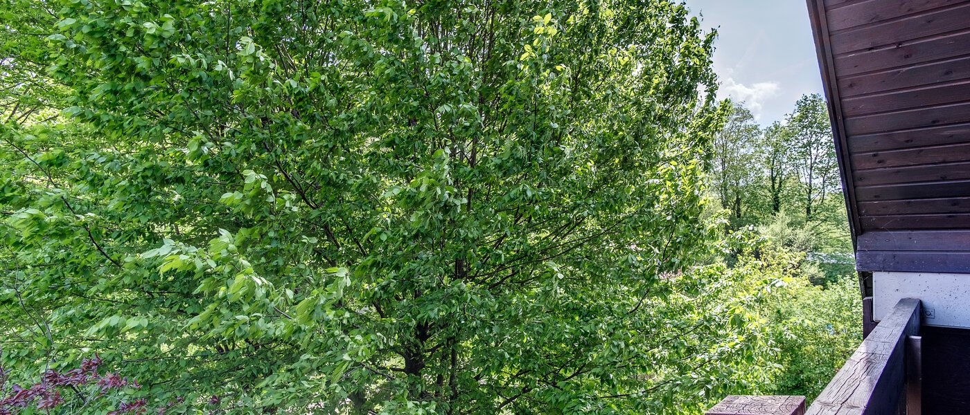 maisonette München Oberföhring 05 vista 10997