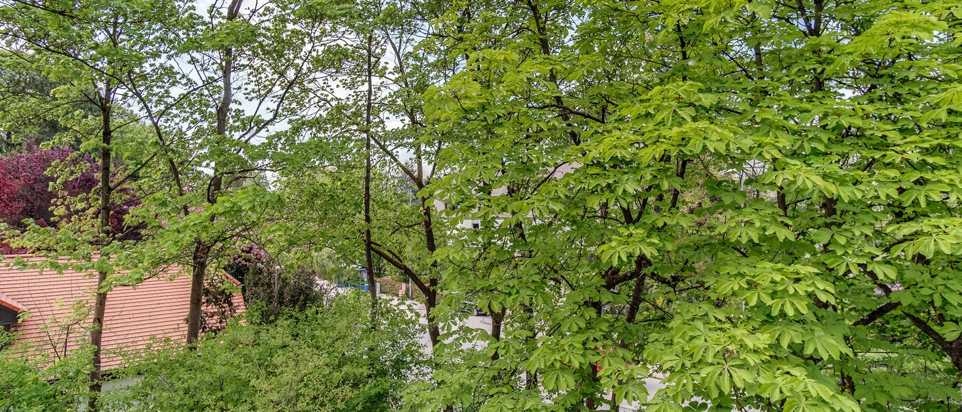 maisonette München Oberföhring 07 vista 10997