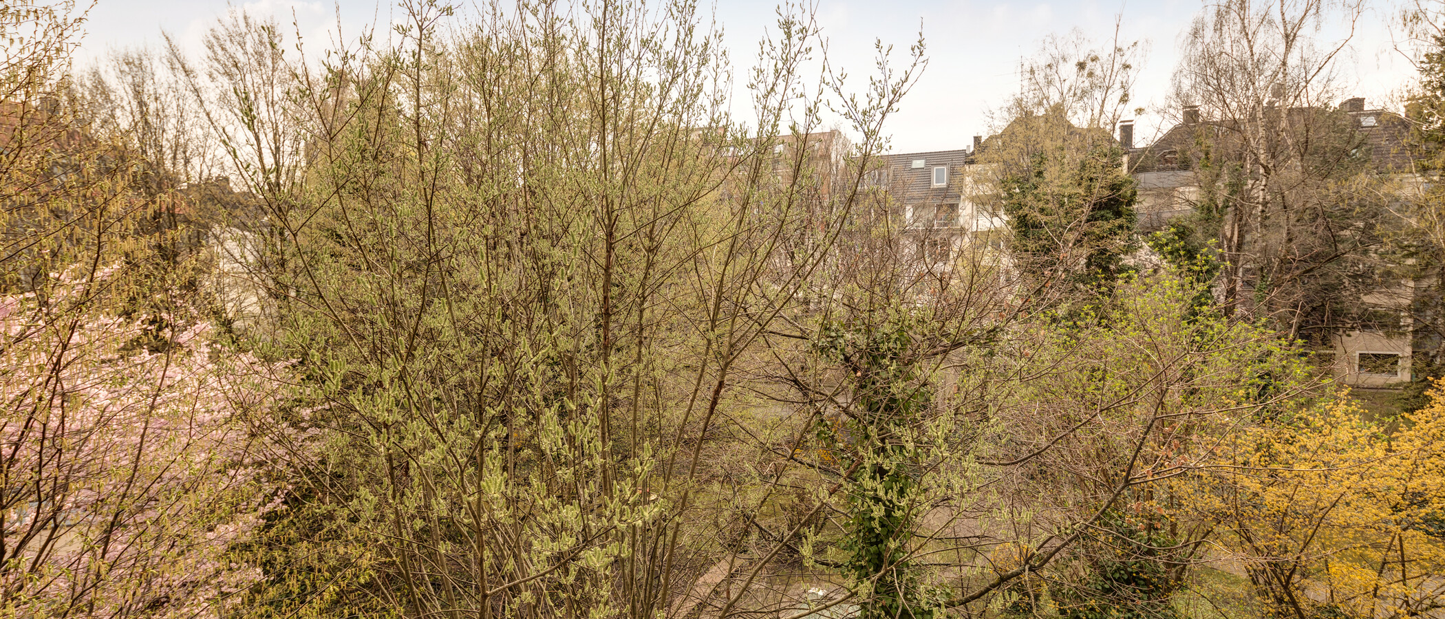 maisonette München Schwabing-West (rund um den Hohenzollernplatz) 02 vista 11000