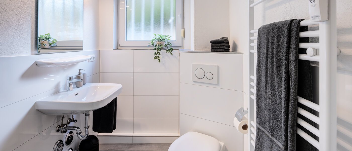 appartamento München Schwabing-West (rund um den Bonner Platz) 02 bagno 11020