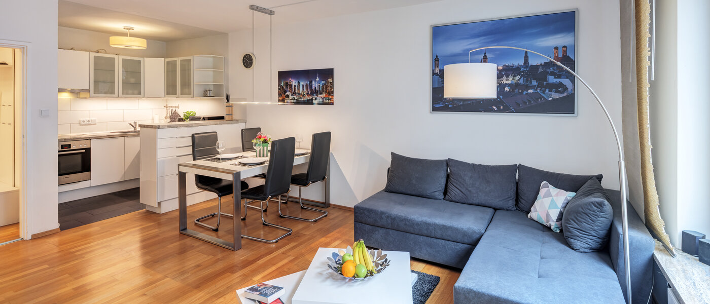 appartamento München Haidhausen 01 zona living 11036