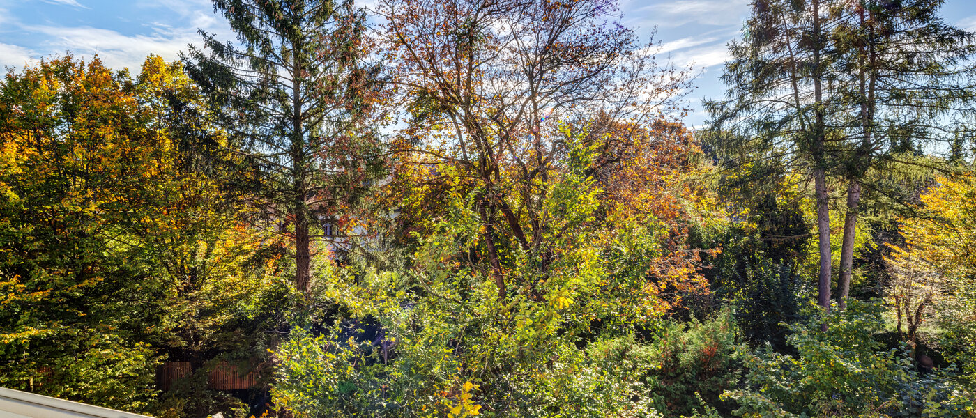 appartamento München Nymphenburg 01 vista 11055