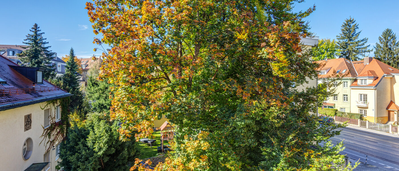 appartamento München Nymphenburg 03 vista 11055