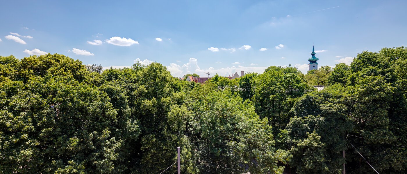 attico con terrazzo München Bogenhausen 01 vista 11076