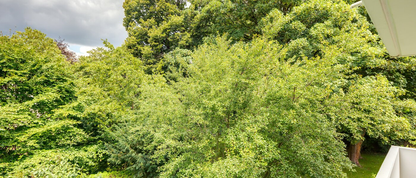 appartamento München Herzogpark 04 vista 11149