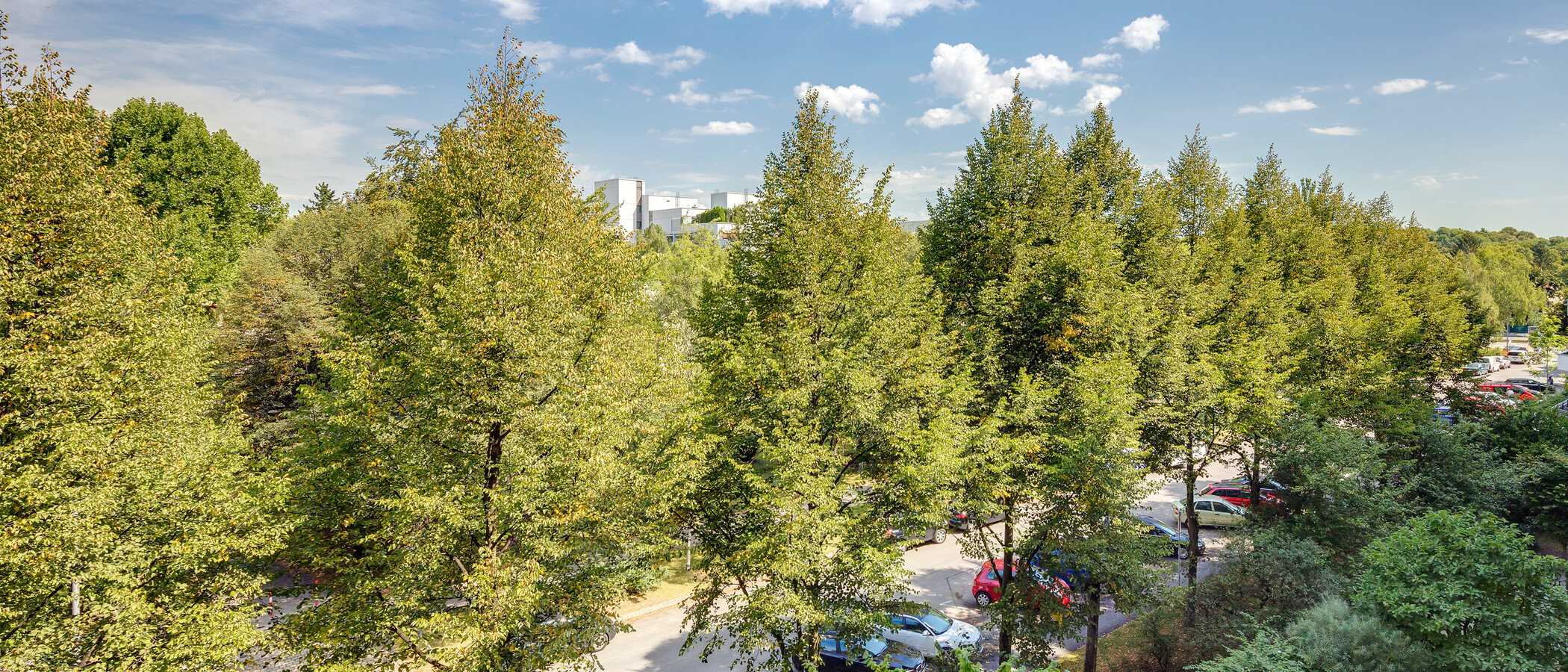 appartamento München Schwabing-West 02 vista 11193