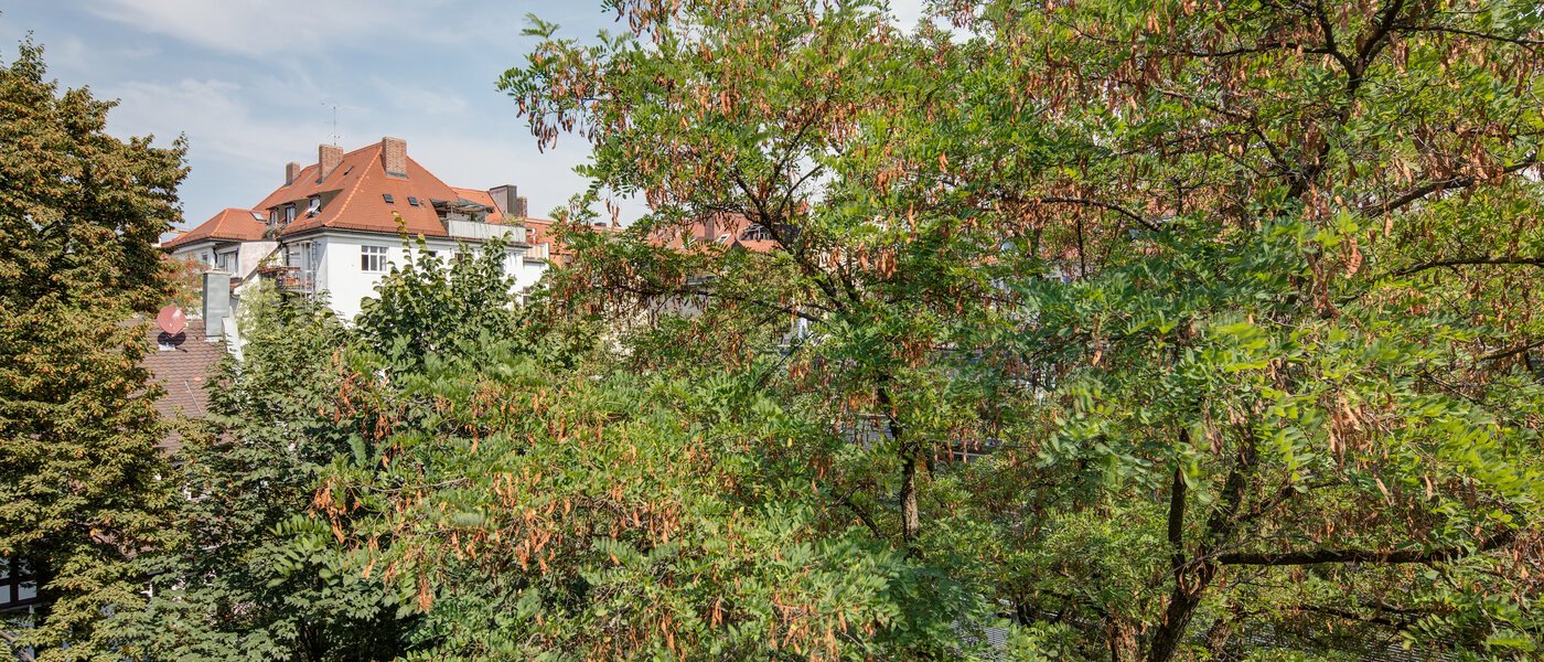 appartamento München Schwabing 01 vista 11220