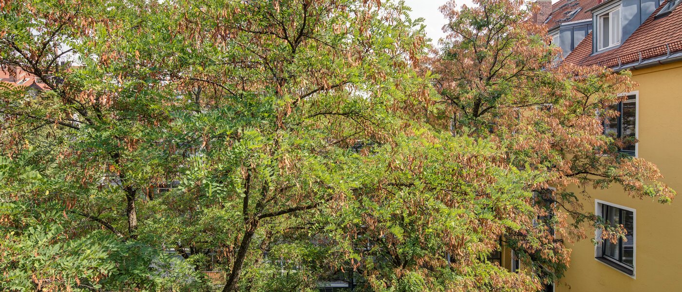 appartamento München Schwabing 02 vista 11220