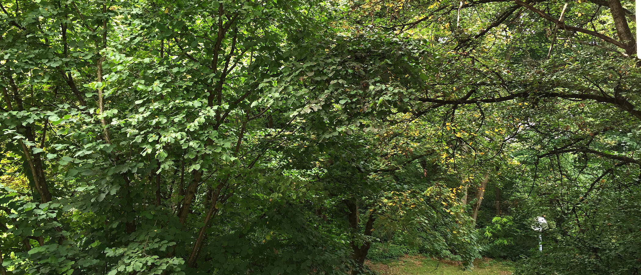 abitazione München Schwabing-West 01 vista 11238