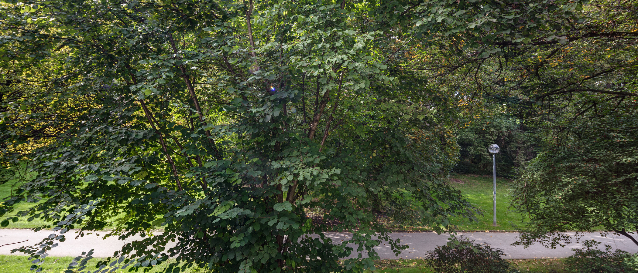 abitazione München Schwabing-West 03 vista 11238