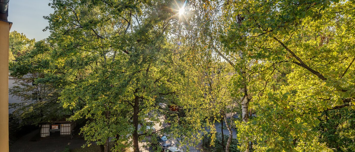 appartamento München Parkstadt Bogenhausen 03 vista 11256