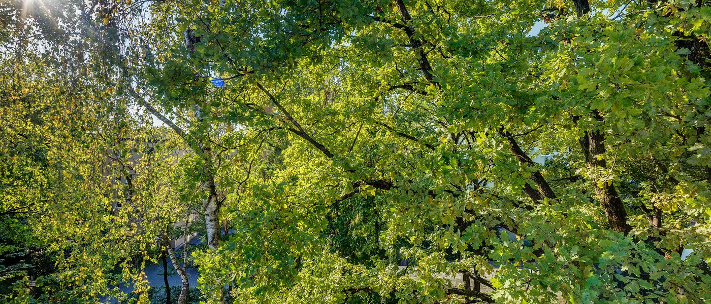 appartamento München Parkstadt Bogenhausen 04 vista 11256