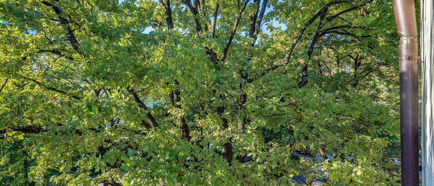 appartamento München Parkstadt Bogenhausen 05 vista 11256