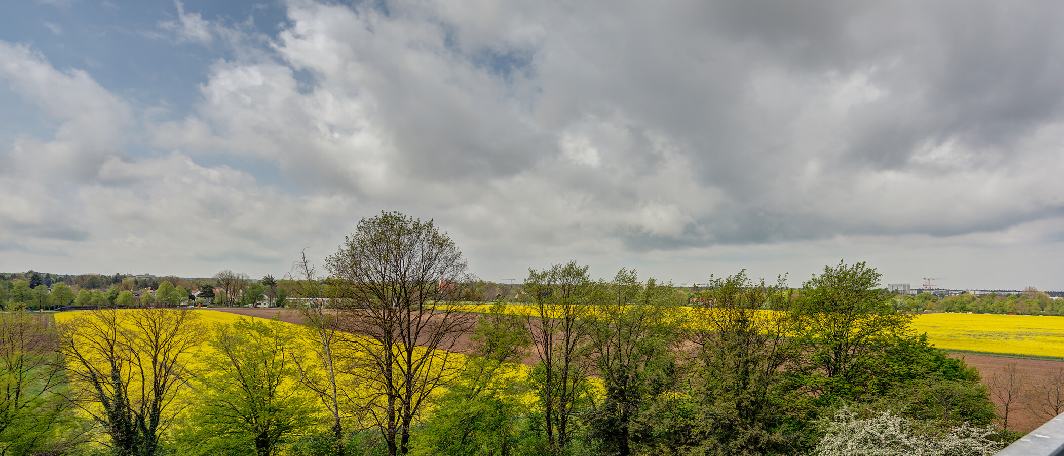appartamento München Parkstadt Solln 03 vista 11555