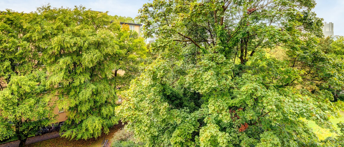 appartamento München Parkstadt Bogenhausen 02 vista 1160