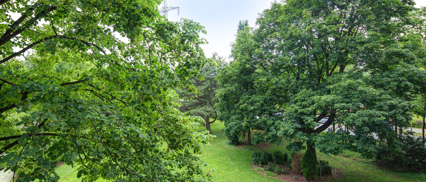 appartamento München Aubing 02 vista 11641