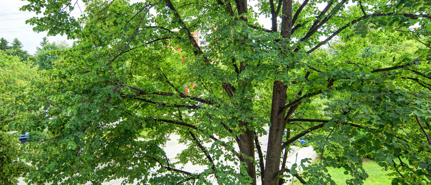 appartamento München Aubing 03 vista 11641