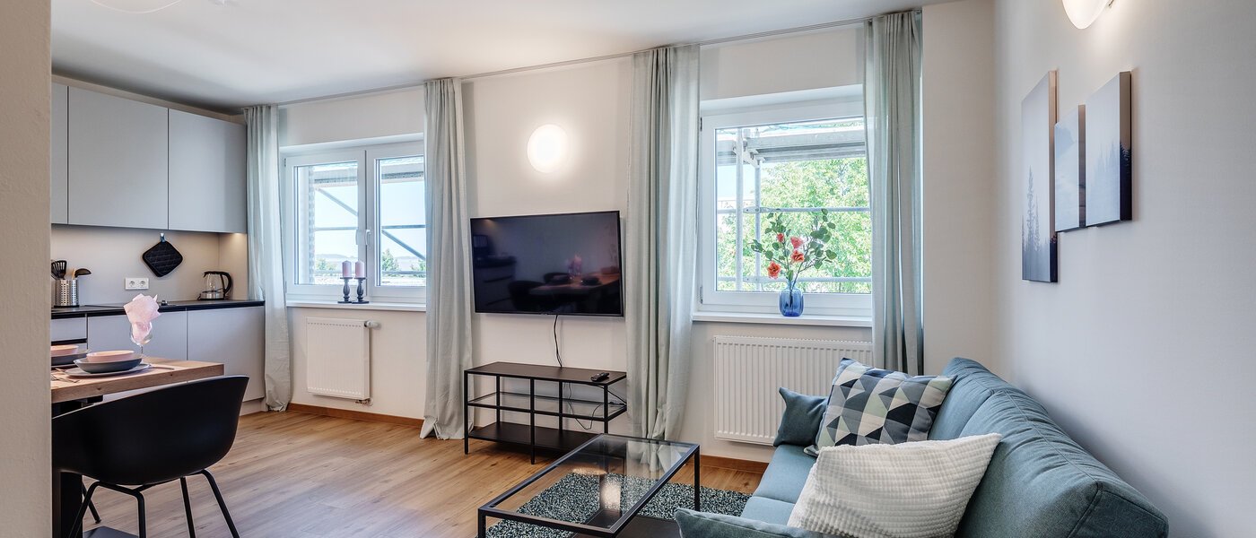 appartamento Eching 02 zona living 11665