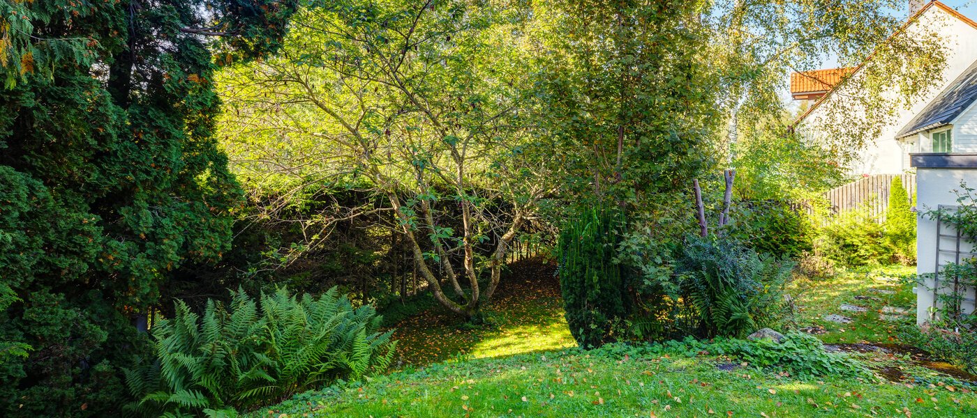 appartamento con giardino Feldafing 02 giardino 11698