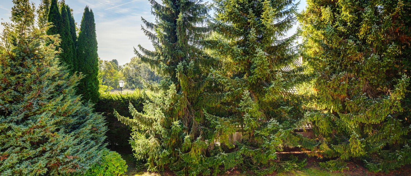 appartamento con giardino Feldafing 01 vista 11698