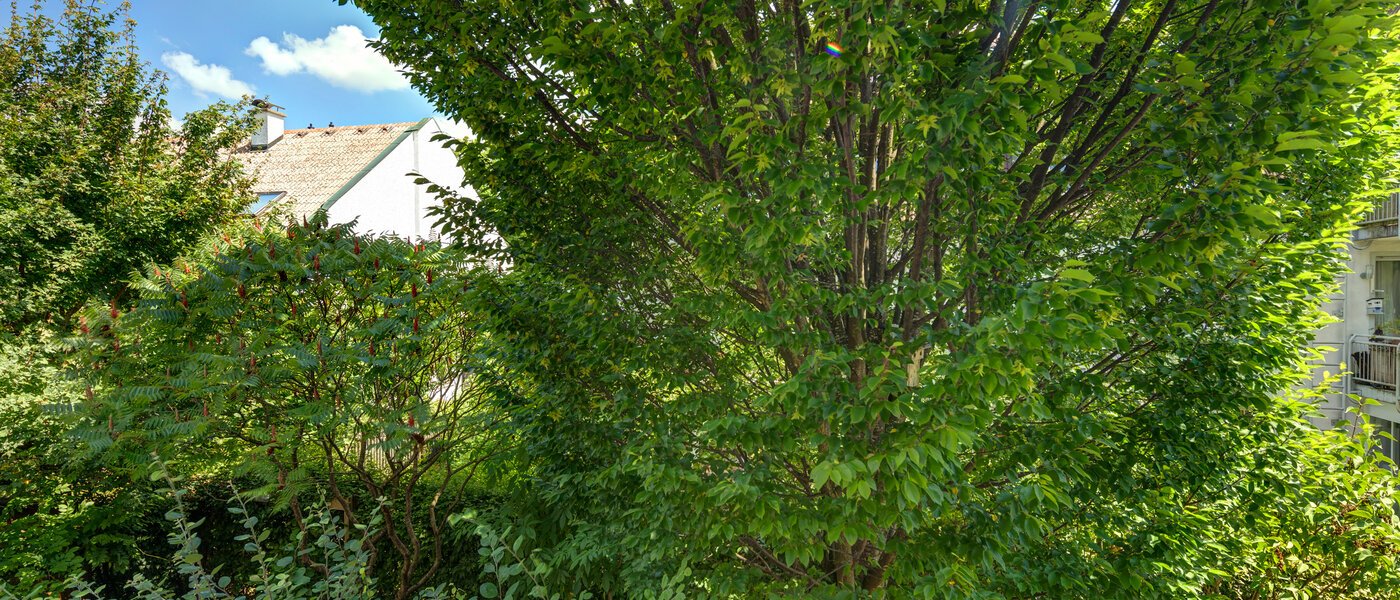 appartamento München Laim 03 vista 11702