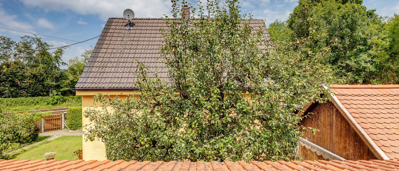 casa indipendente München Fasanerie 02 vista 11740