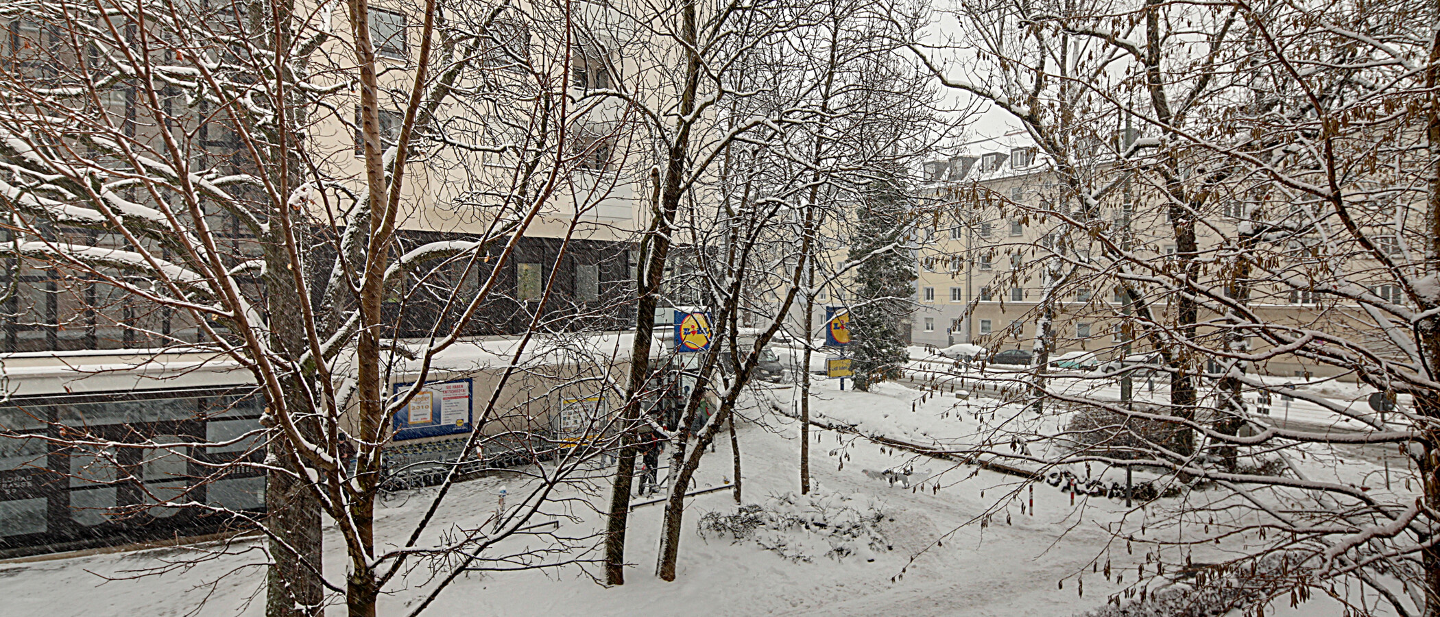 appartamento München Schwabing (links der Leopoldstraße) 03 vista 1191