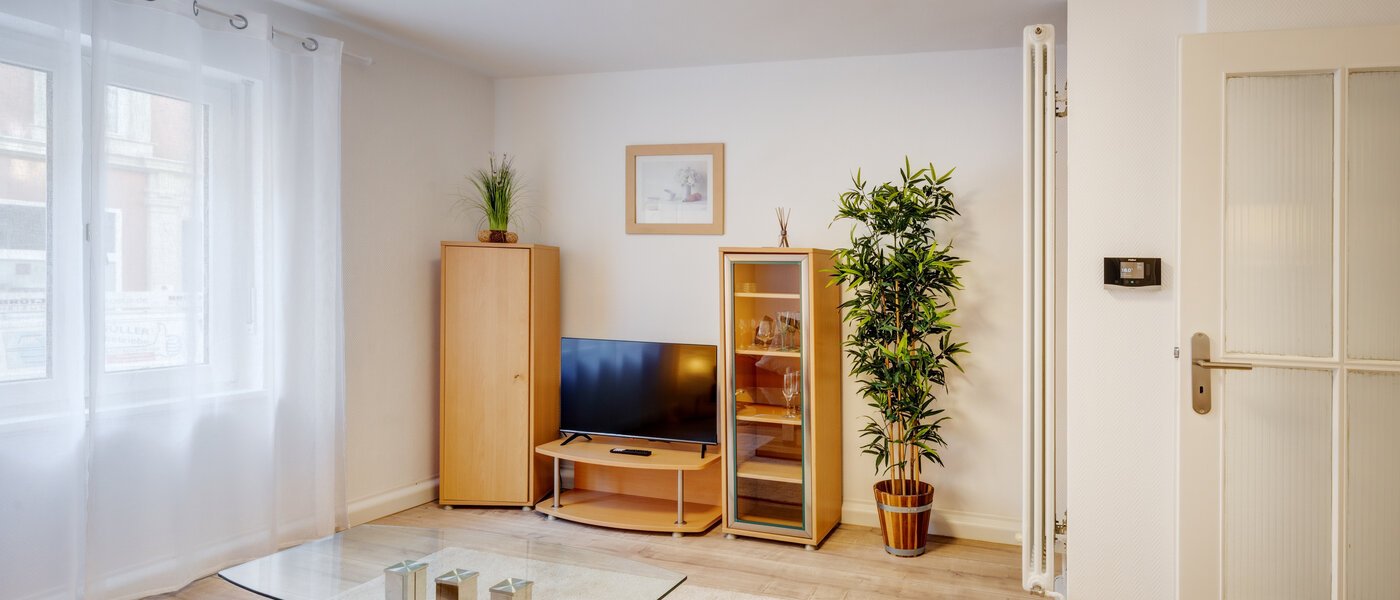 appartamento München Maxvorstadt - Museumsviertel 02 soggiorno 1215