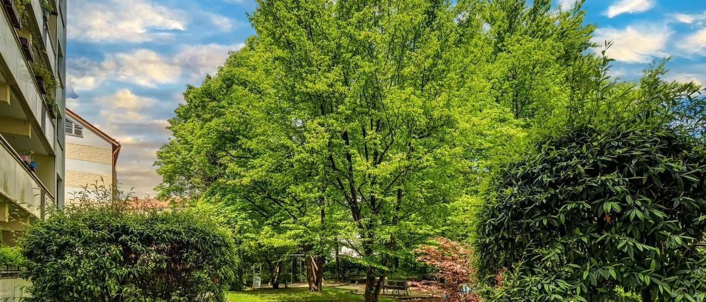 appartamento München Neuhausen 03 vista 12163