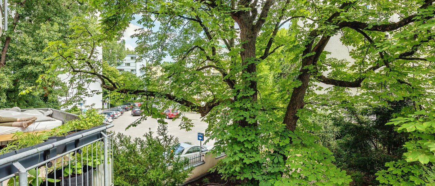 appartamento München Schwabing 03 vista 12216