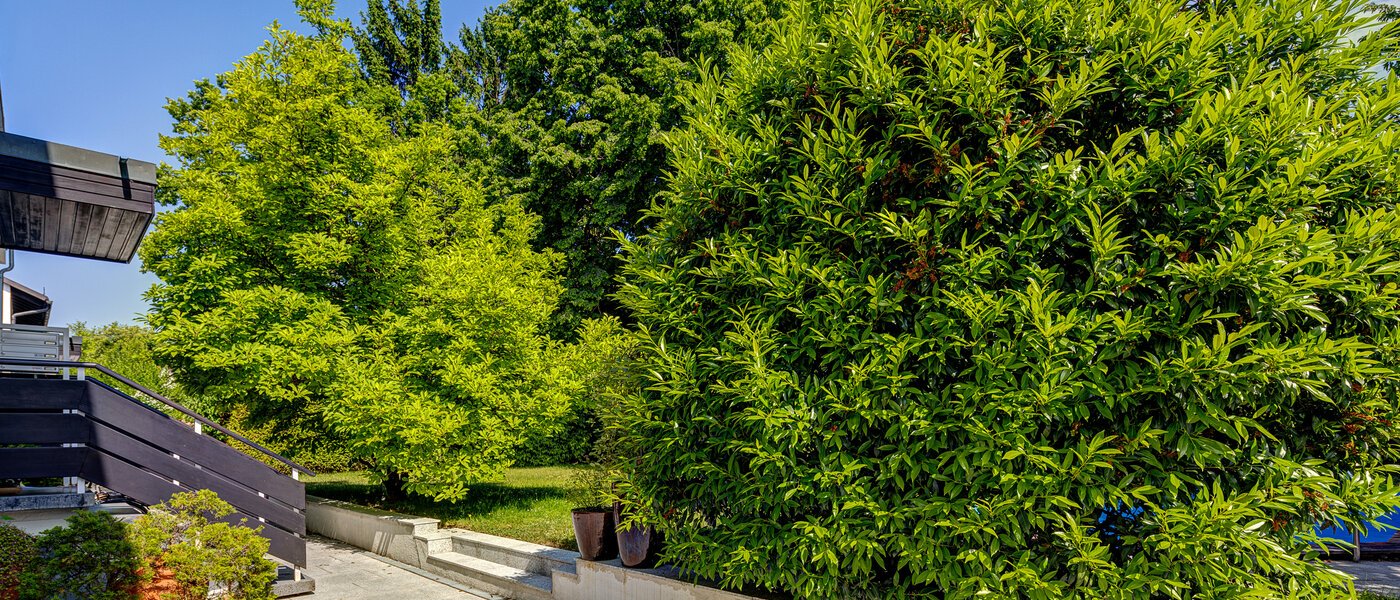 maisonette München Cosimapark 06 parti in comune 12301