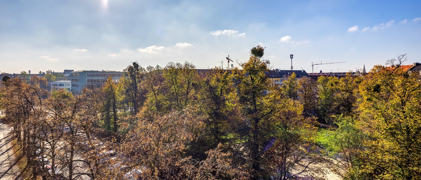 attico München Obergiesing 02 vista 12328