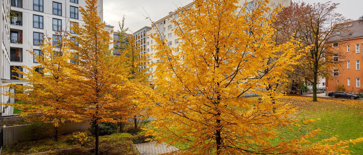 appartamento München Bogenhausen 01 vista 12389