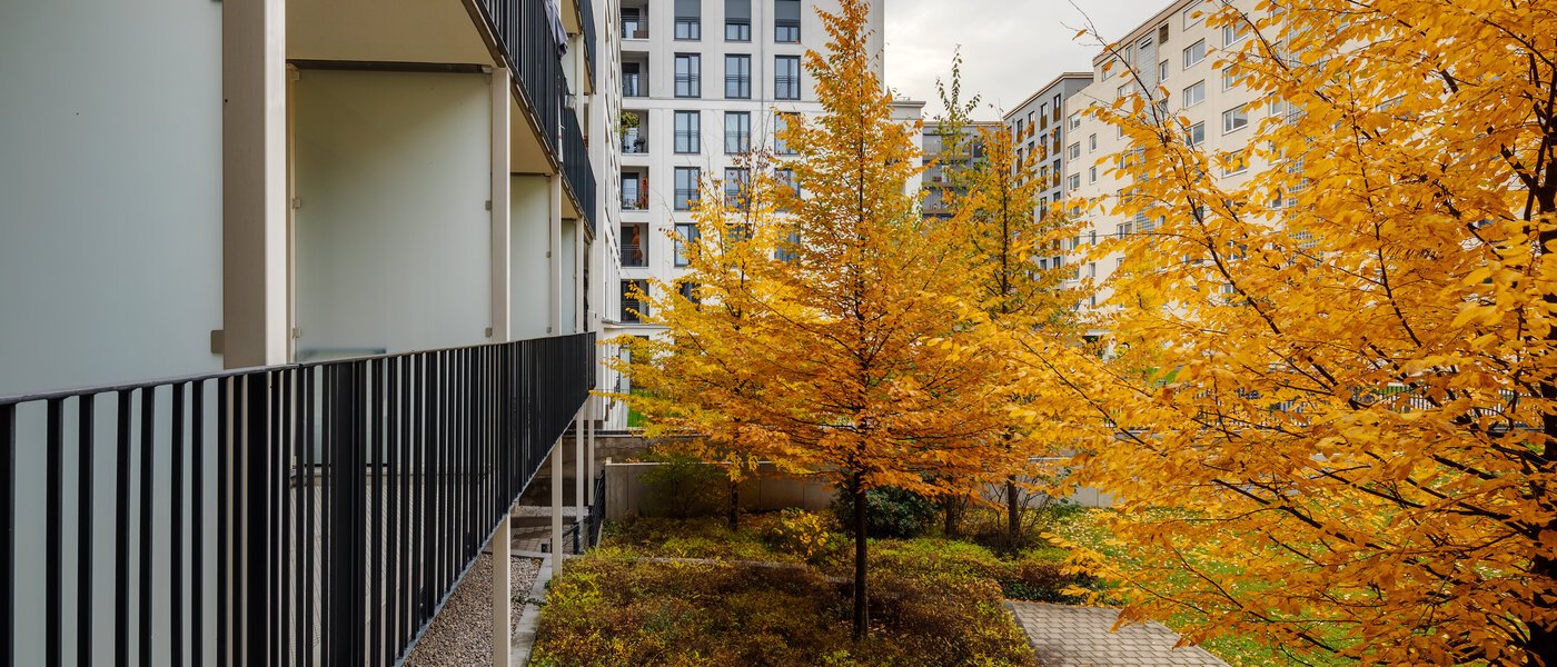 appartamento München Bogenhausen 02 vista 12389