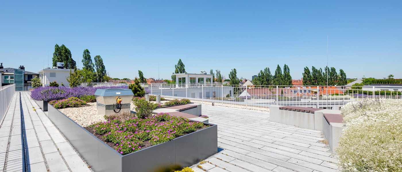 appartamento München Au 03 parti in comune 12459