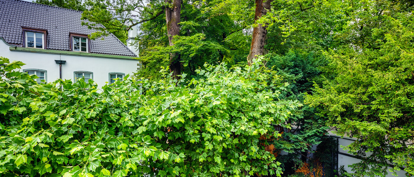 appartamento München Herzogpark 01 vista 12619