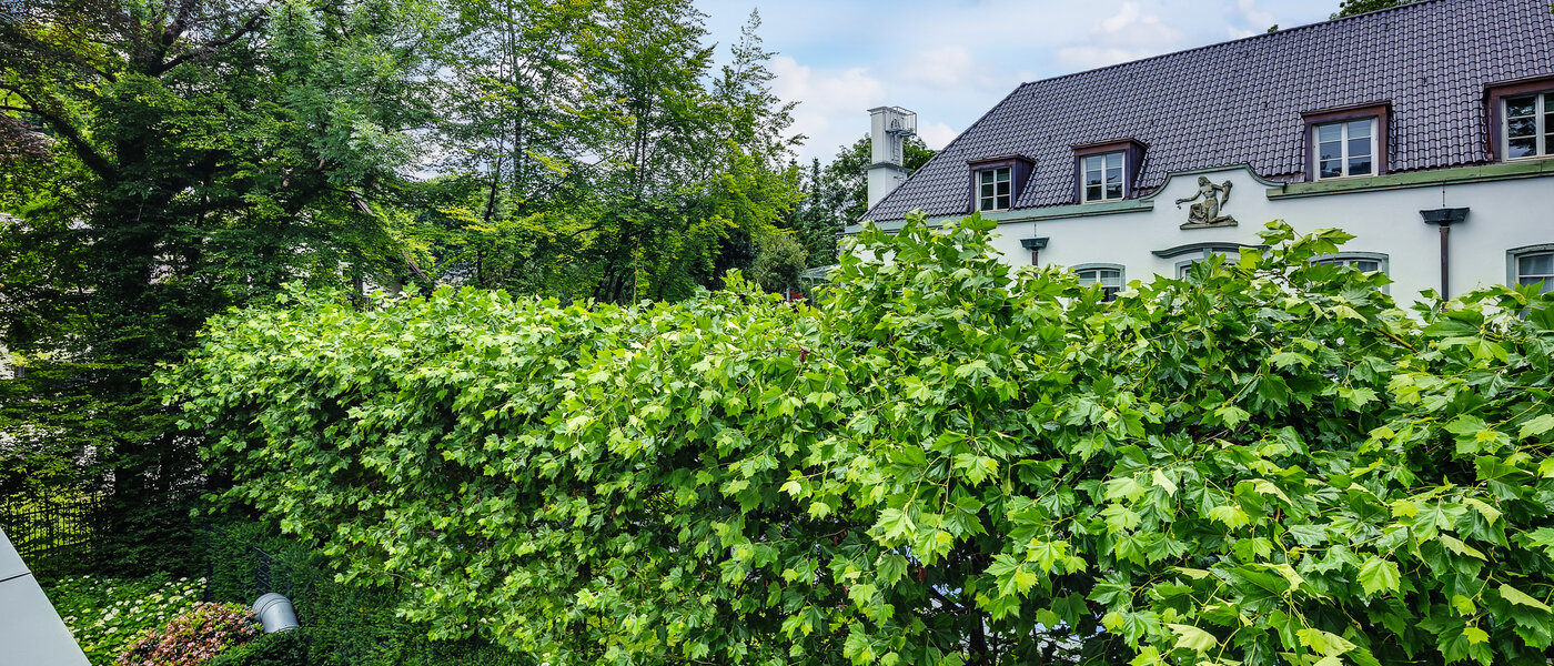 appartamento München Herzogpark 02 vista 12619