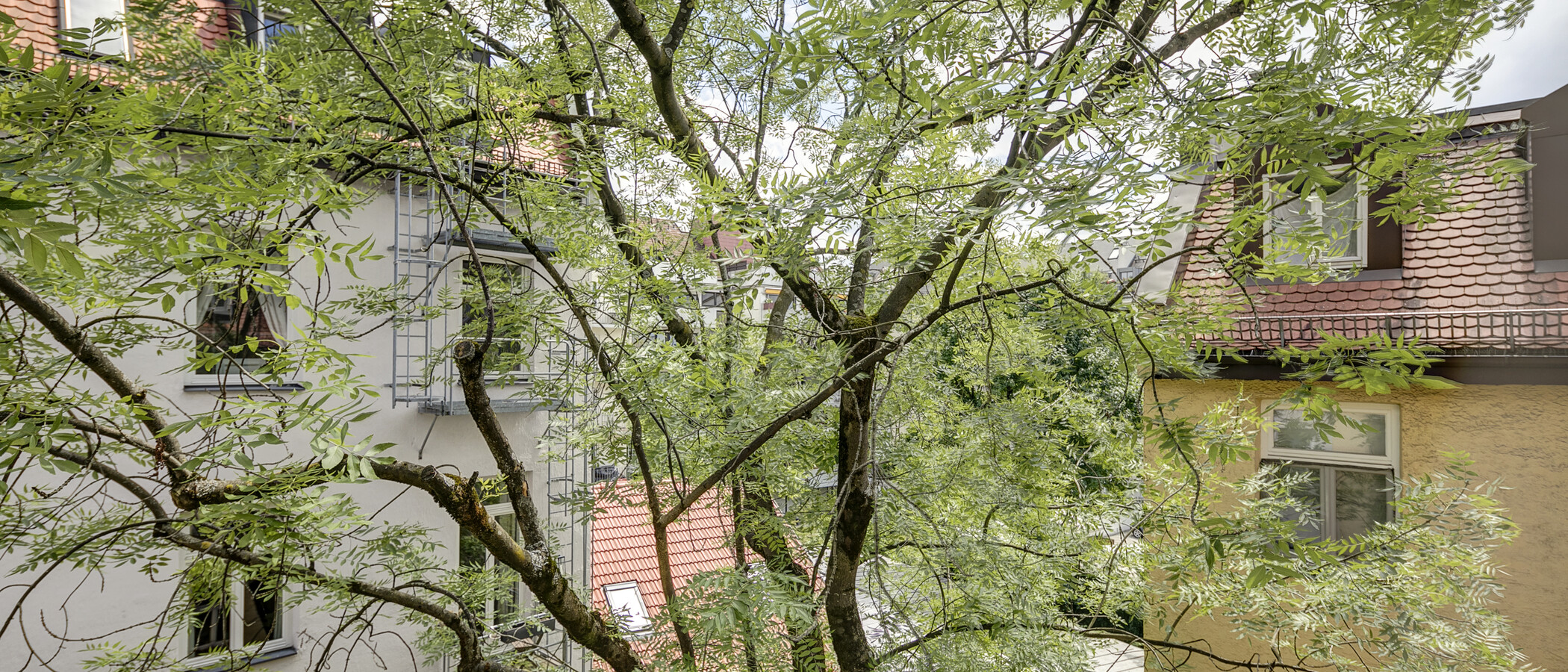 appartamento München Schwabing (links der Leopoldstraße) 01 vista 1262