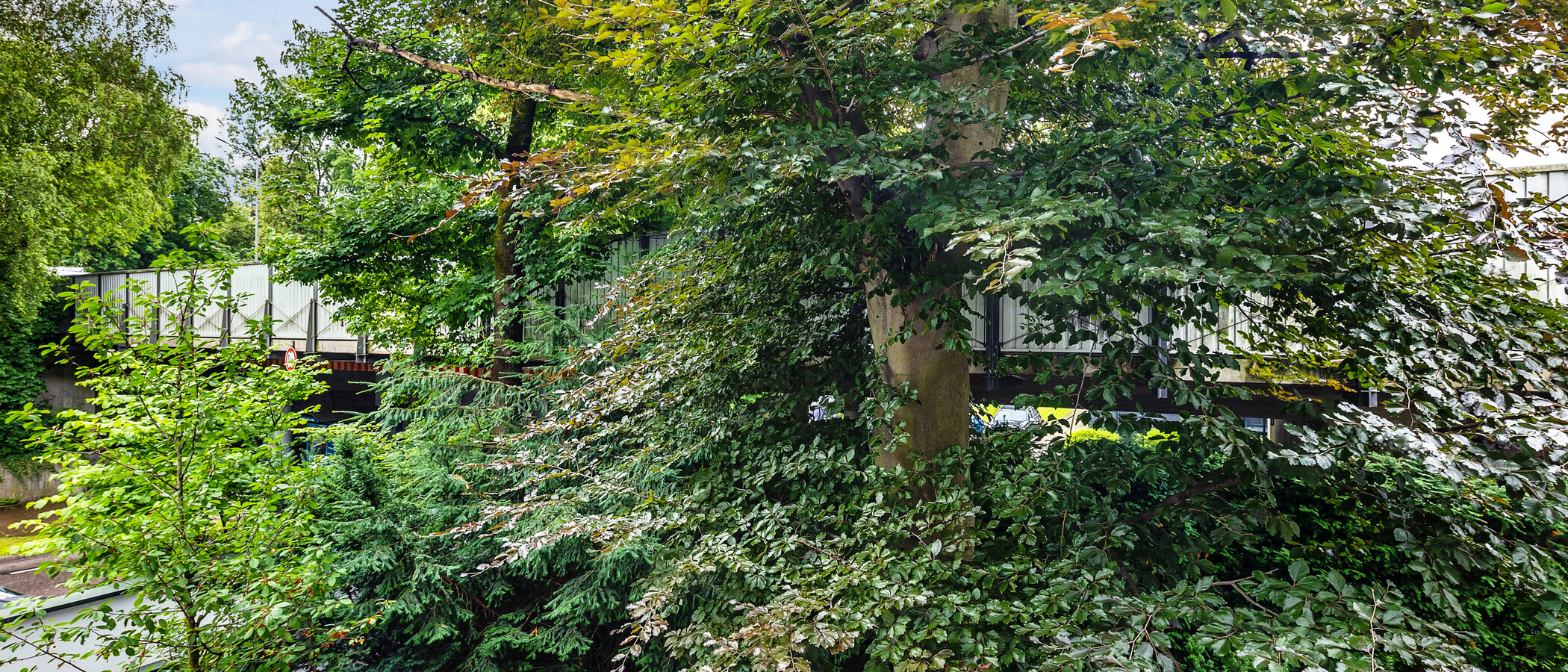 appartamento München Herzogpark 04 vista 12628