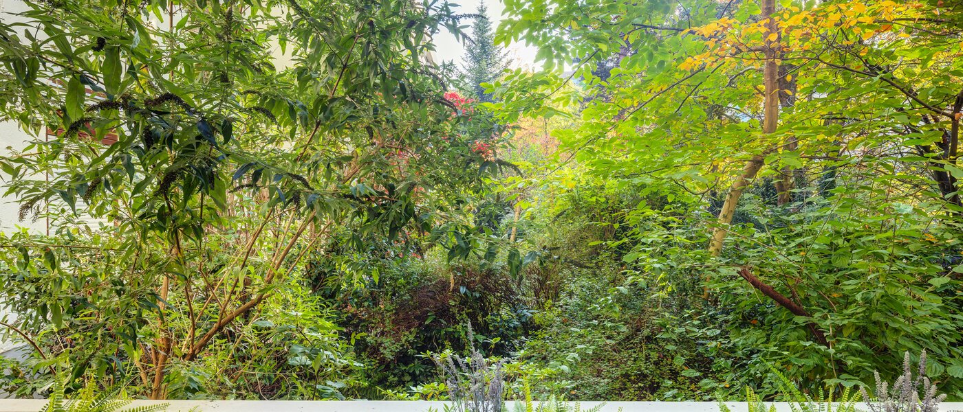 appartamento a due livelli München Herzogpark 02 vista 12889