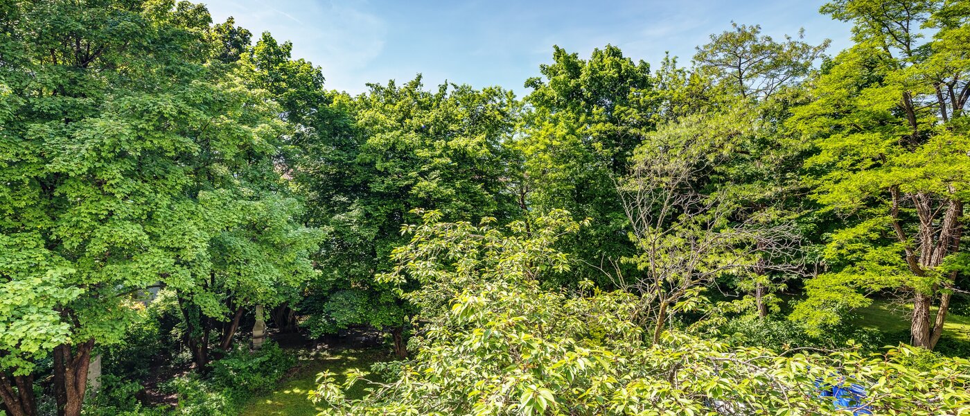 appartamento München Parkstadt Schwabing 02 vista 13011