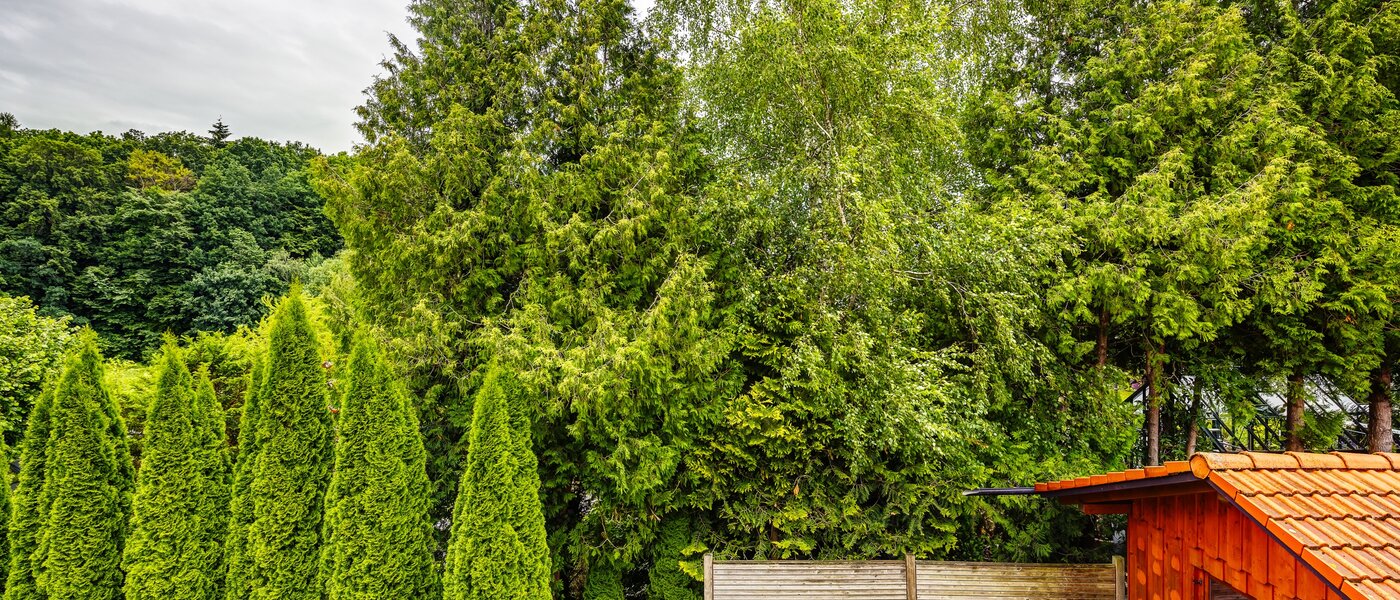 appartamento Kottgeisering 04 vista 13040