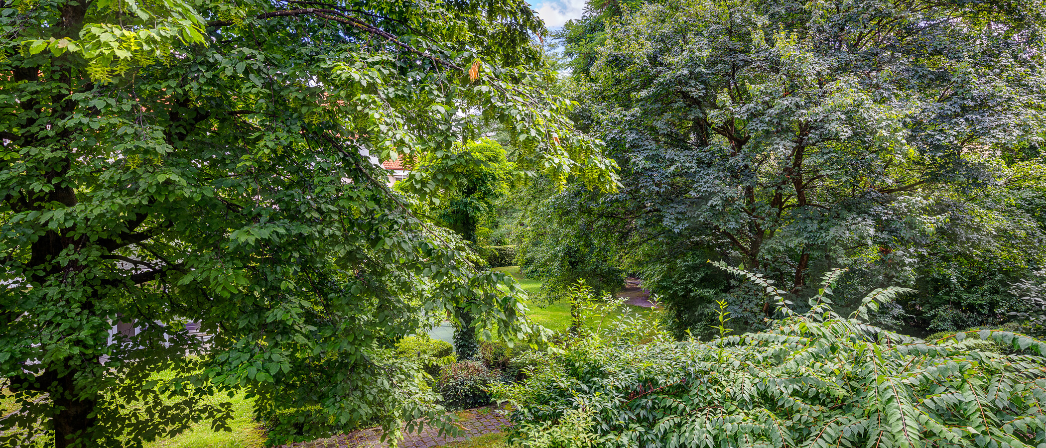 appartamento München Schwabing-Nord (zw. Belgrad- & Leopoldstraße) 02 vista 13047