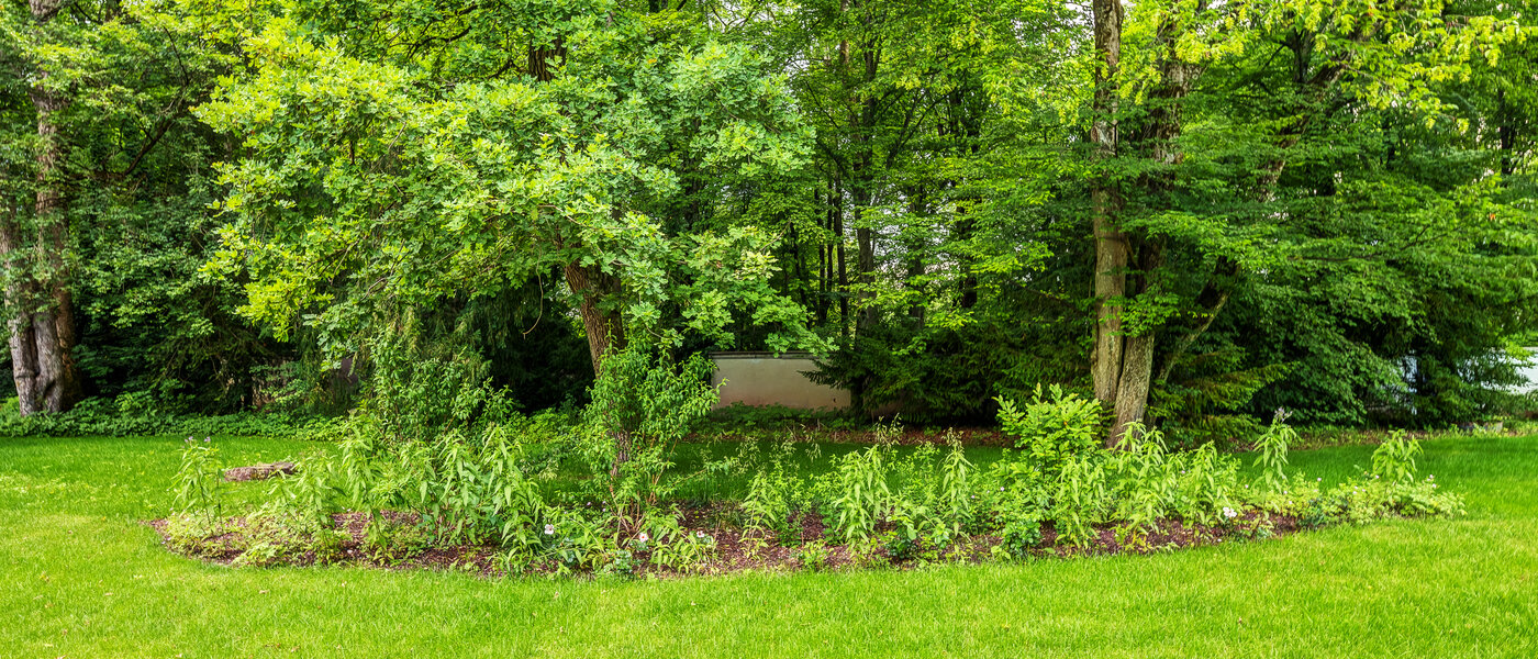 appartamento con giardino München Harlaching 02 vista 13067