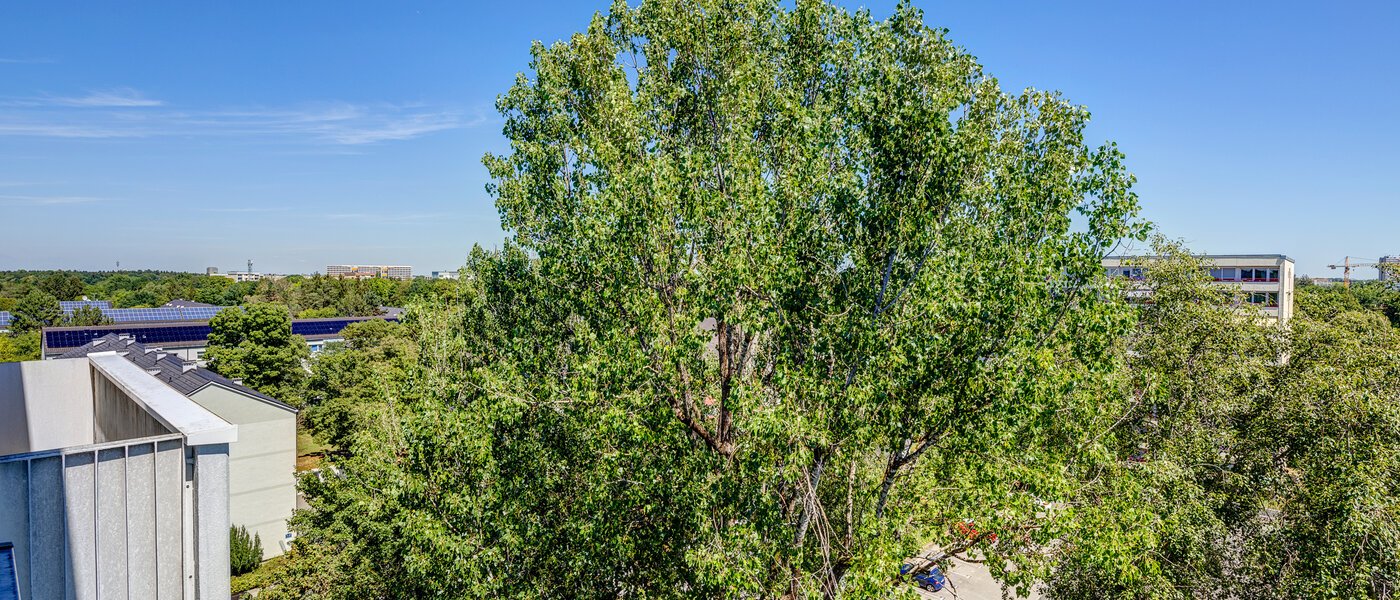 appartamento München Fürstenried 02 vista 13096